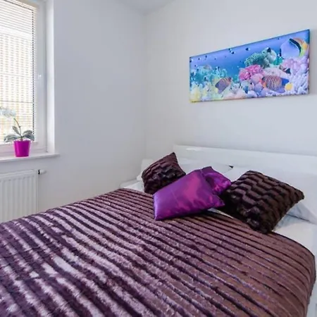 شقة Apartament 